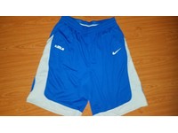 lebron james dri fit shorts